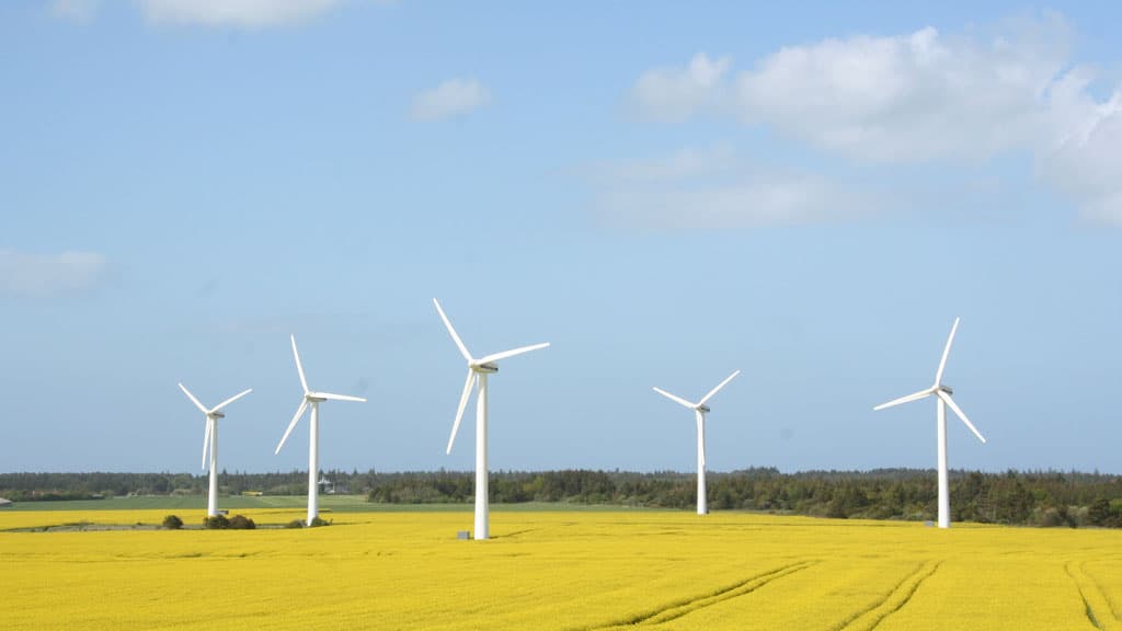 Tornby Bjerg (Hügel)
