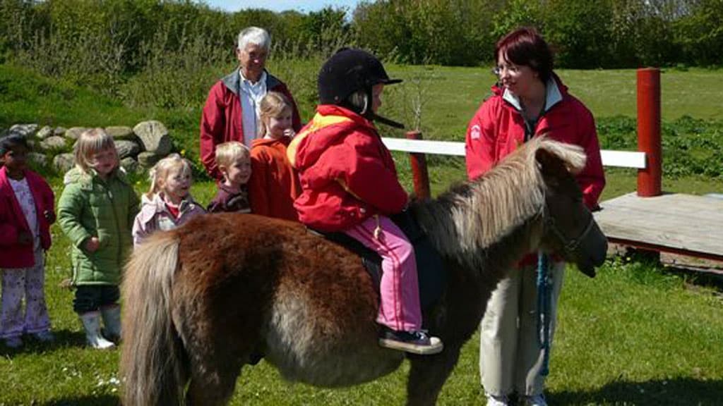 Family Farm Fun Park