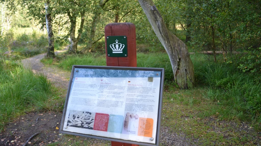 The Tollund Man's finding place