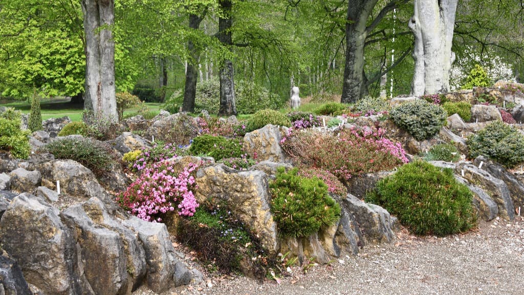 Spalt Blumen Bed, Bangsbo botaniske have