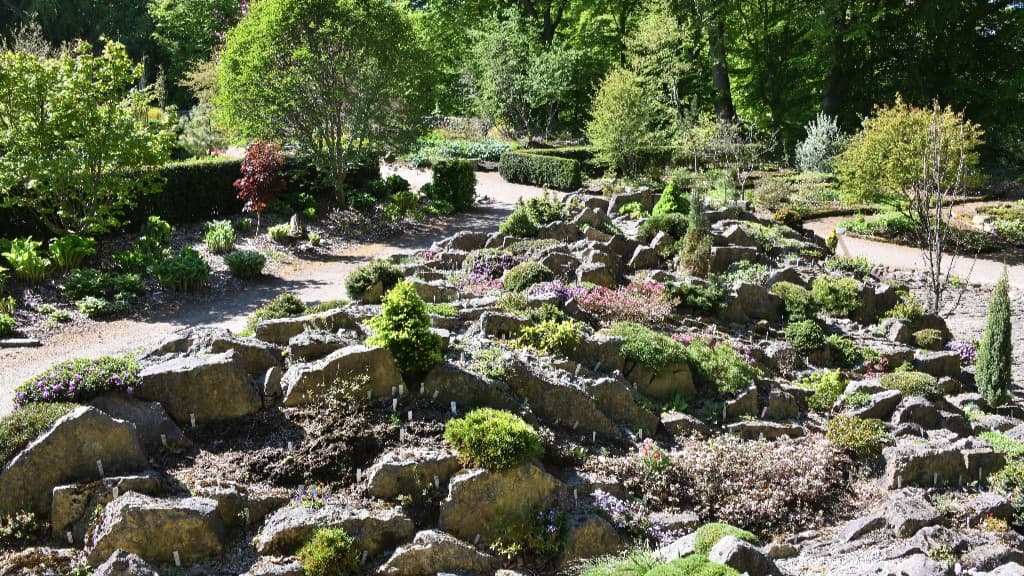 Spalt Blumen Bed, Bangsbo botaniske have