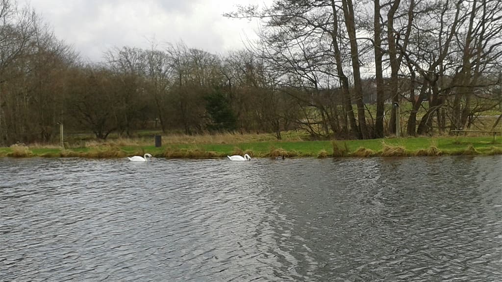 Foldingbro Angling Lake