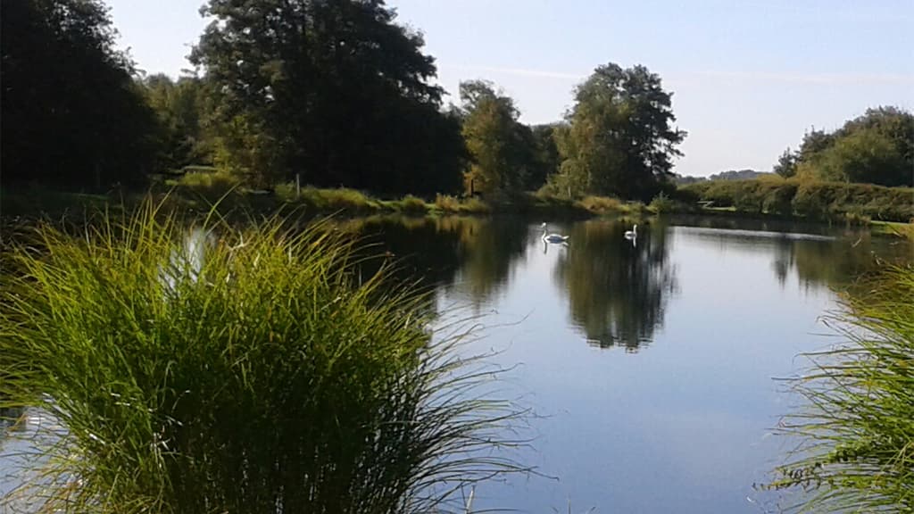 Foldingbro Angling Lake