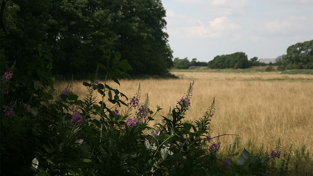 Zeltplatz – Freiheitsbrücke, Københoved