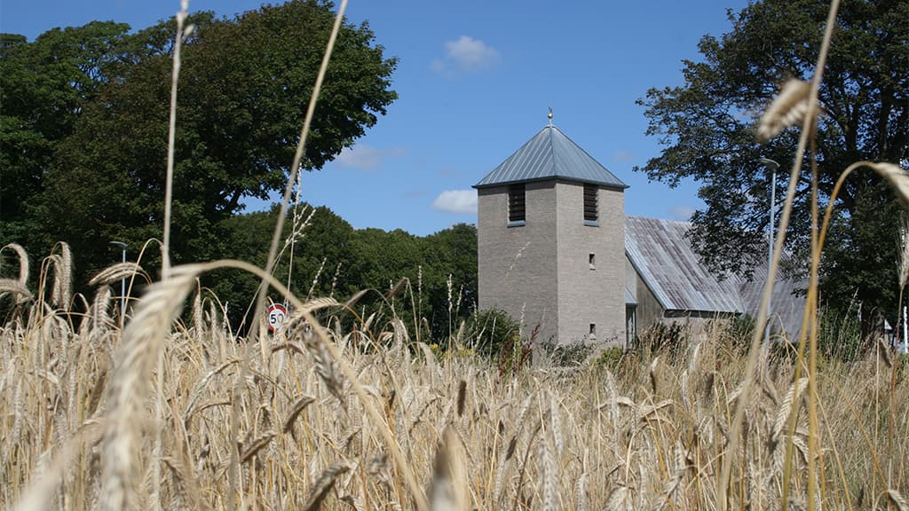Gesten kirke tårn set fra mellem korn
