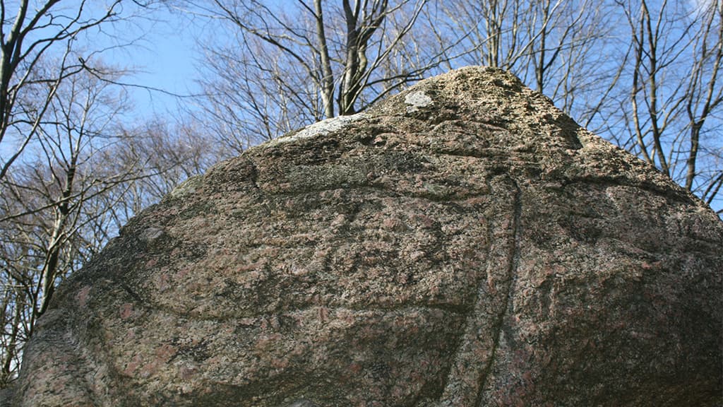 Der Magnusstein im Skibelund Krat