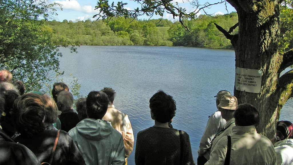 Vingsted Sø eine Gruppe von Menschen, die über den Tellerrand schauen