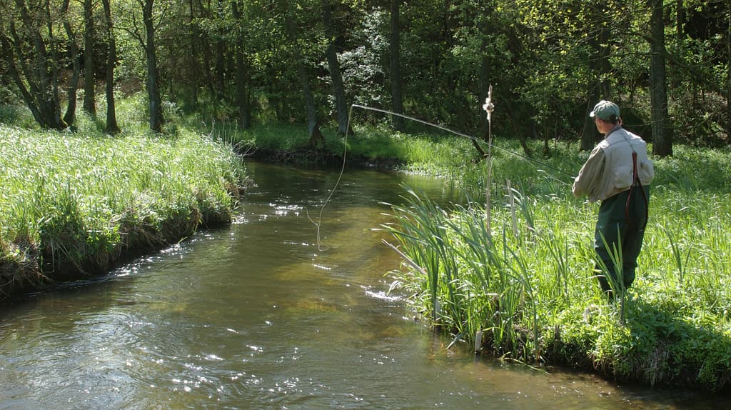 Fiskbæk Bach bei Viborg